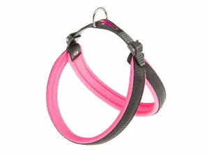 AGILA FLUO 4 PINK HARNESS