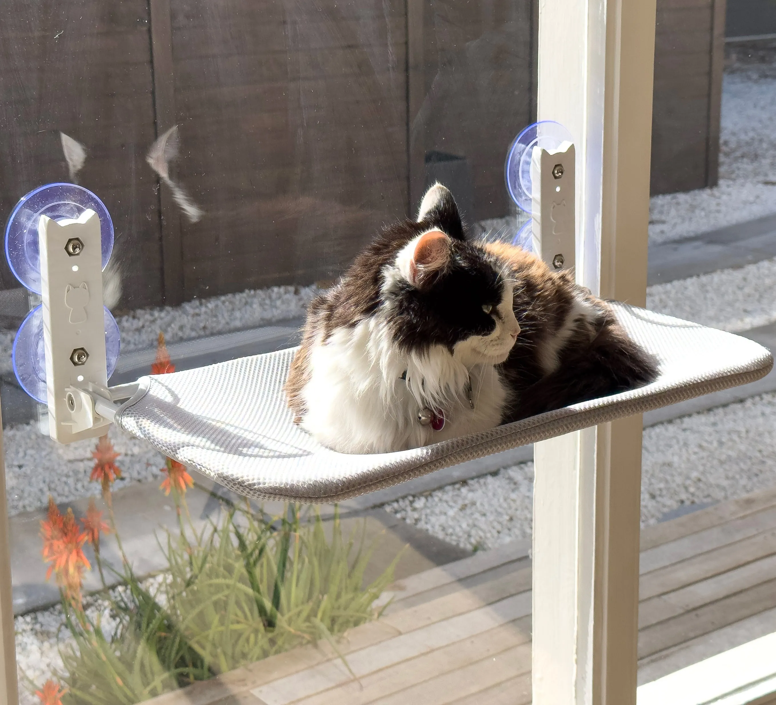 AUSSIE FURBABY™ Cordless Foldable Cat Window Perch Cat Hammock - Large, Washable, Suction Cups Holds 10kg - Ideal Cat Window Hammock/ Cat Perch Seat, Sunbathing Cat Bed. 50x30cm XL hammocks