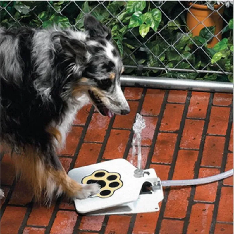 Automatic Outdoor Dogs Water Fountain