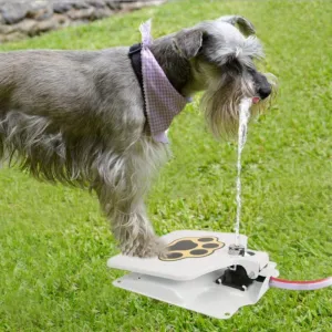 Automatic Outdoor Dogs Water Fountain