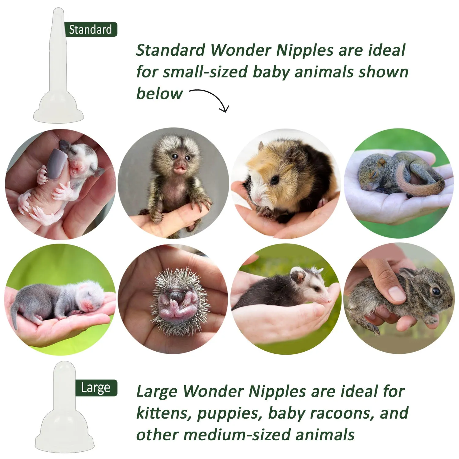 Baby Animal Nursing Set