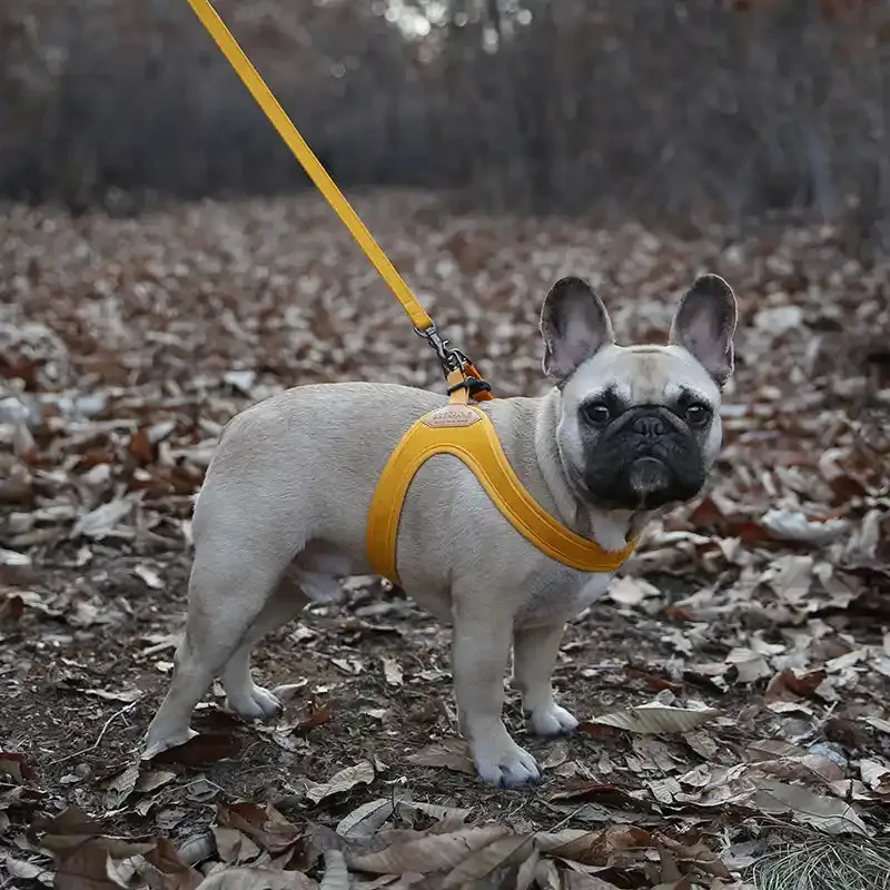 Buckle-up Easy Dog Harness (Not Adjustable)