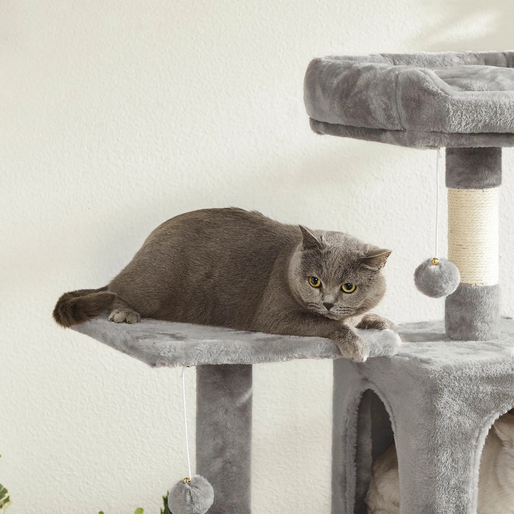 Cat Condo with Scratching Post