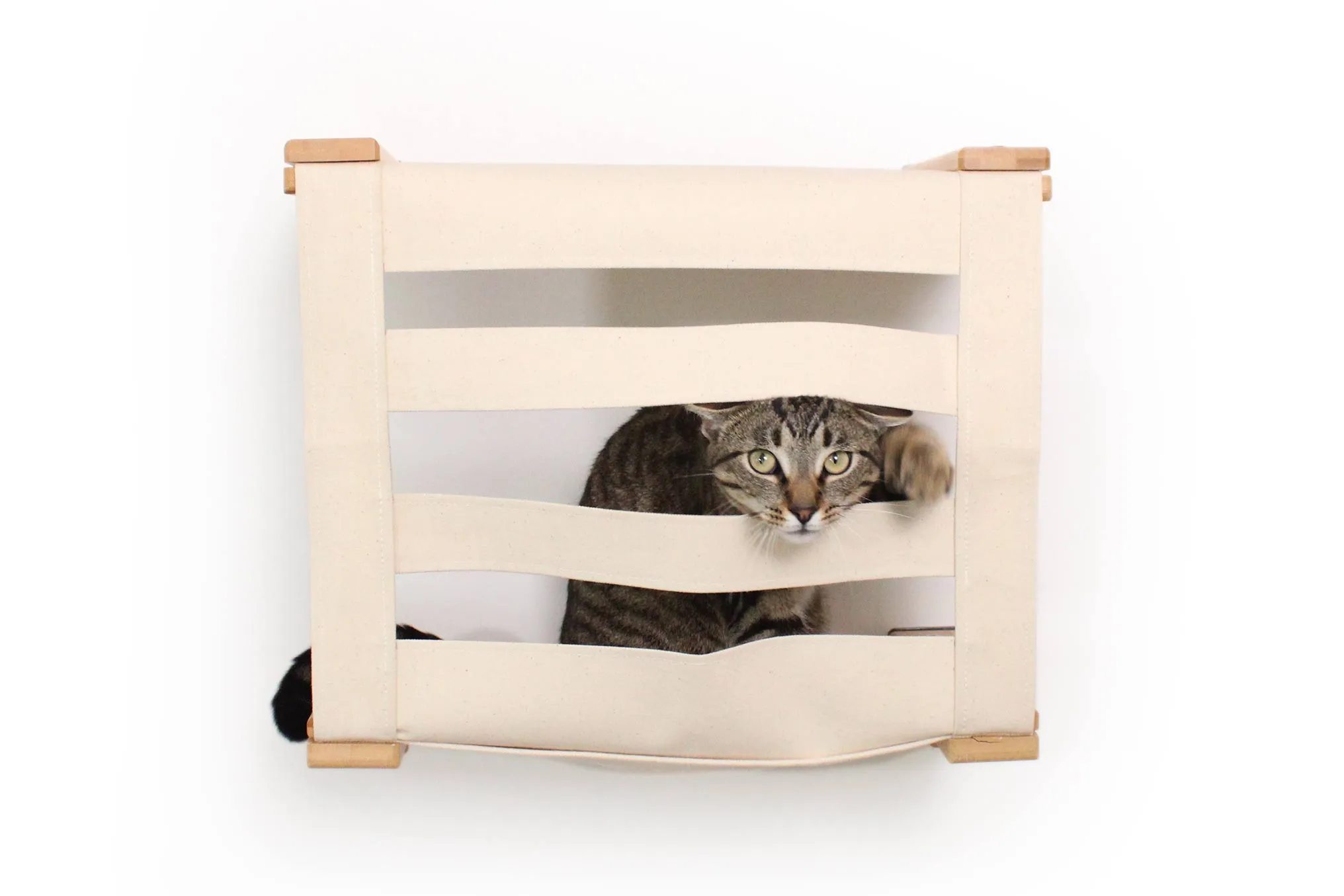 Cat Wall Cubby - Enclosed Cat Bed