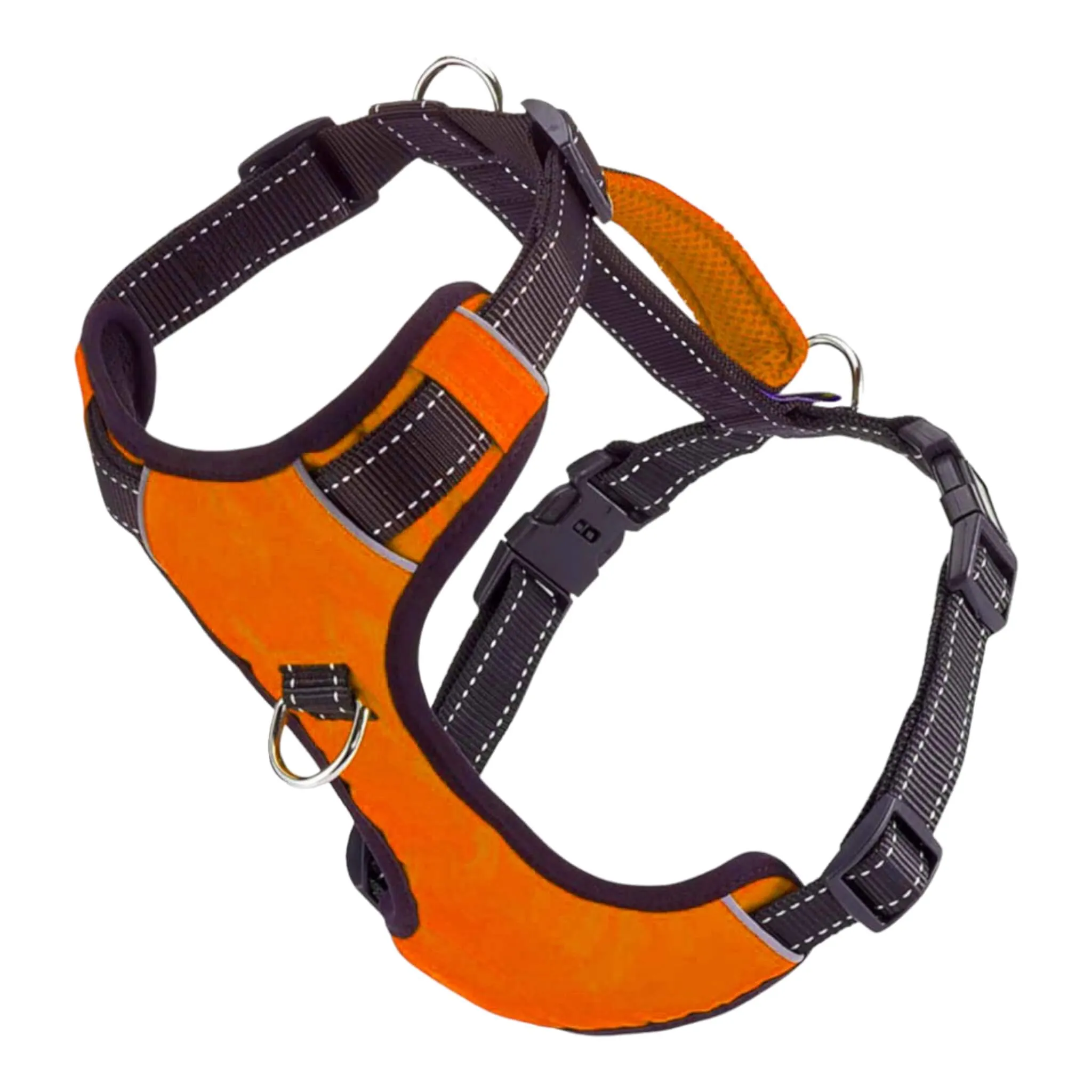 Chesapeake Dog Harness