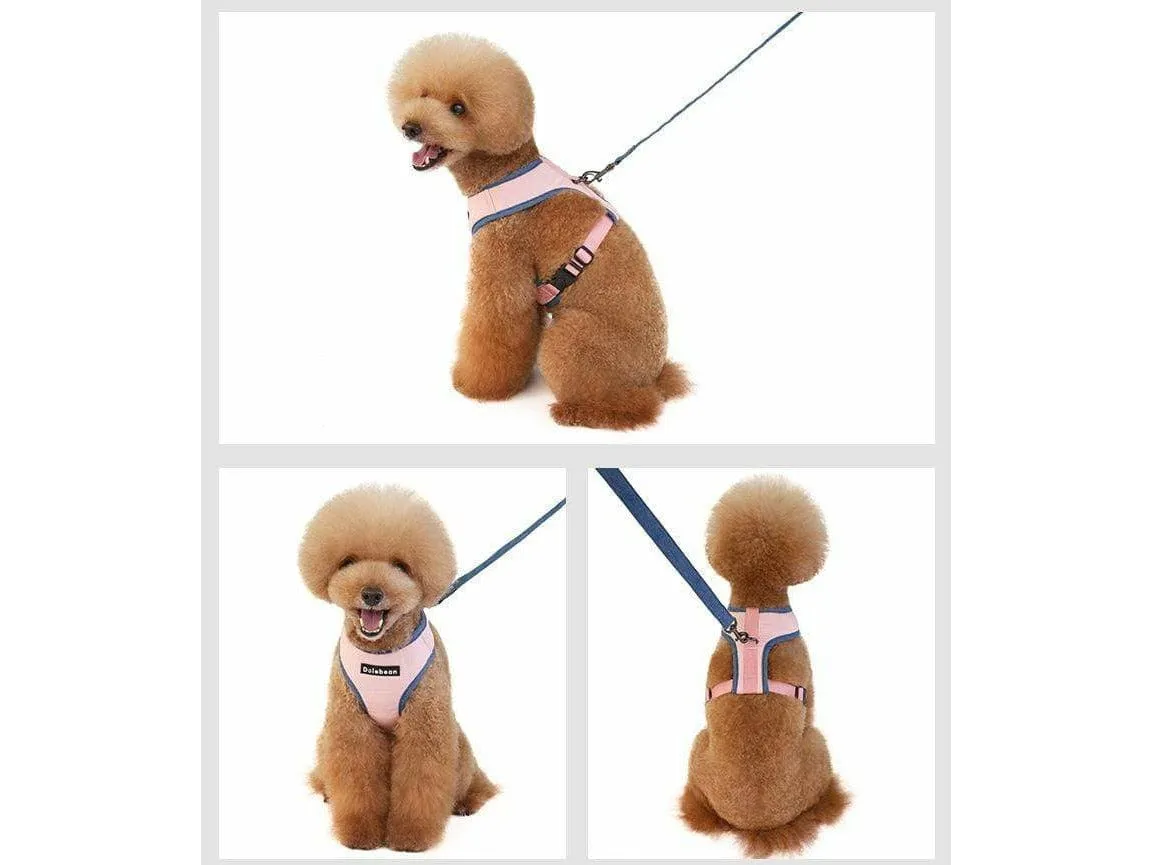 dog harness Beige S KLN19084C