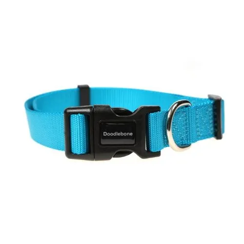 Doodlebone Dog Collar Aqua Size 6-11