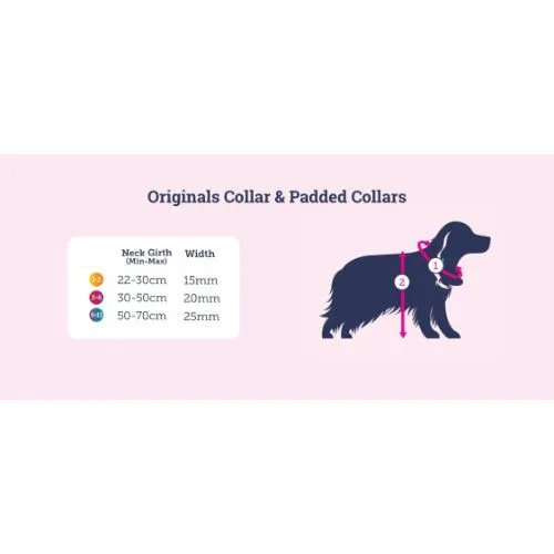 Doodlebone Dog Collar Coal Size 3-6