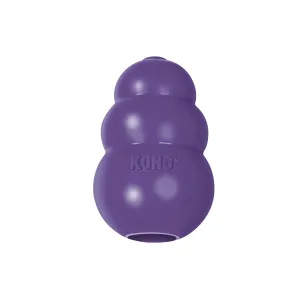 Kong® Senior Treat Dispenser