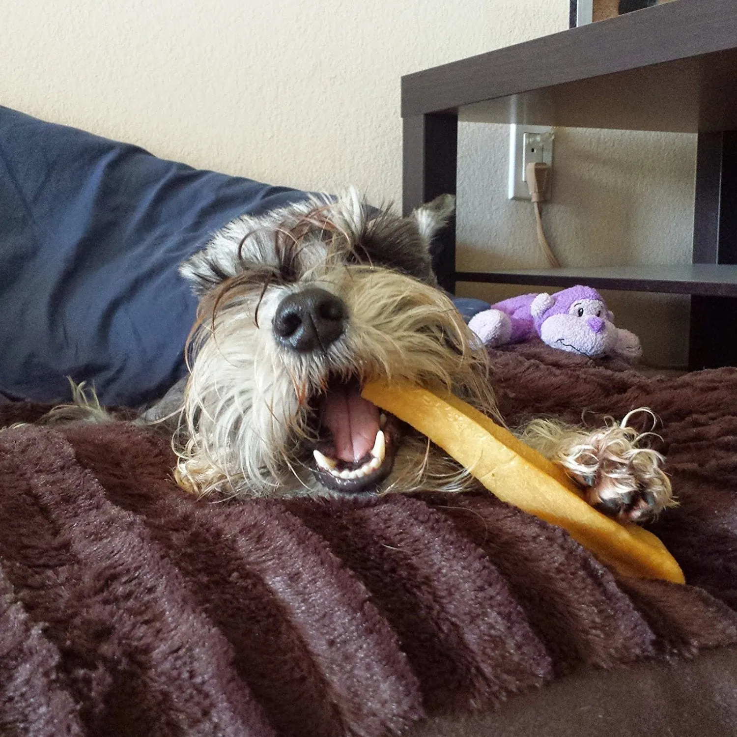 Long-Lasting Gold Yak Chews for Large Dogs