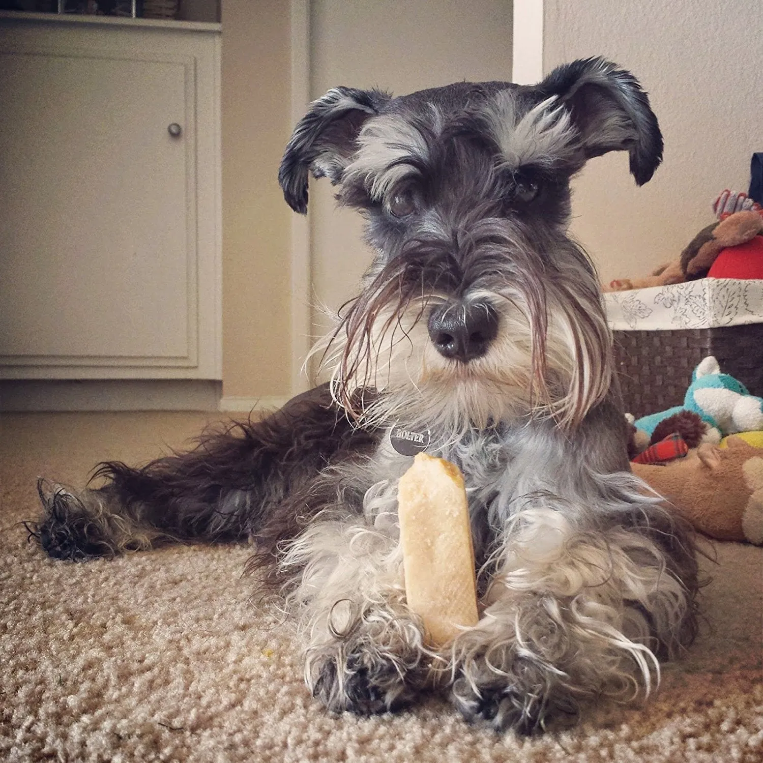 Long-Lasting Gold Yak Chews for Large Dogs