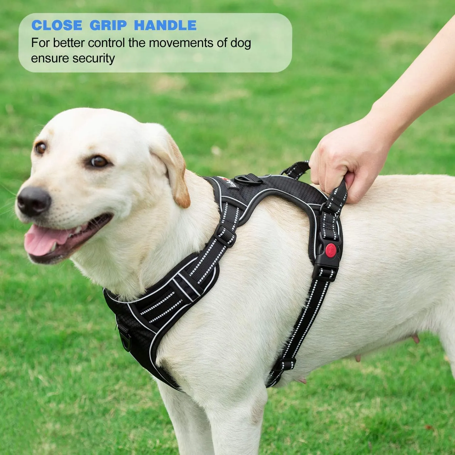 No Pull Dog Harness Adjustable Reflective Oxford Easy Control Medium Large Dog Harness with a Free Heavy Duty 5Ft Dog Leash (L (Neck: 18"-25.5", Chest: 24.5"-33"), Blue Harness Leash)