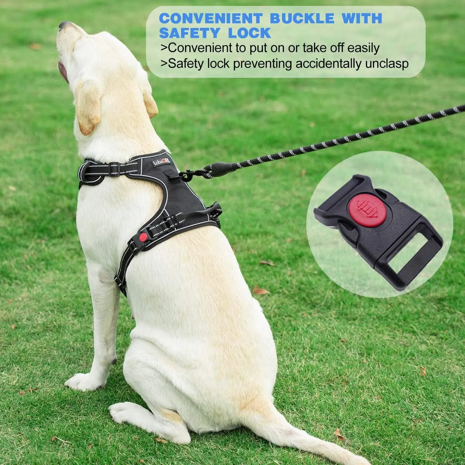 No Pull Dog Harness Adjustable Reflective Oxford Easy Control Medium Large Dog Harness with a Free Heavy Duty 5Ft Dog Leash (L (Neck: 18"-25.5", Chest: 24.5"-33"), Blue Harness Leash)