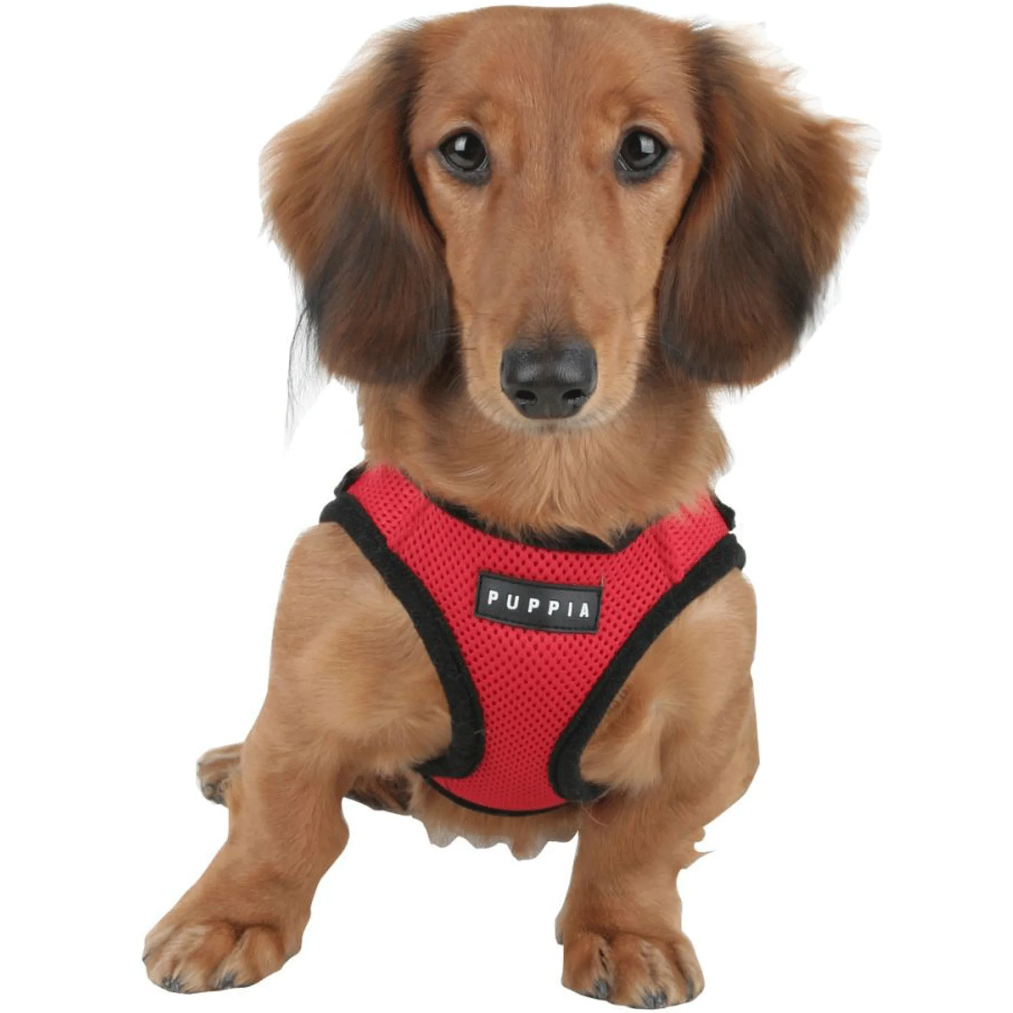 Puppia Red Soft Step-In Harness Vest B