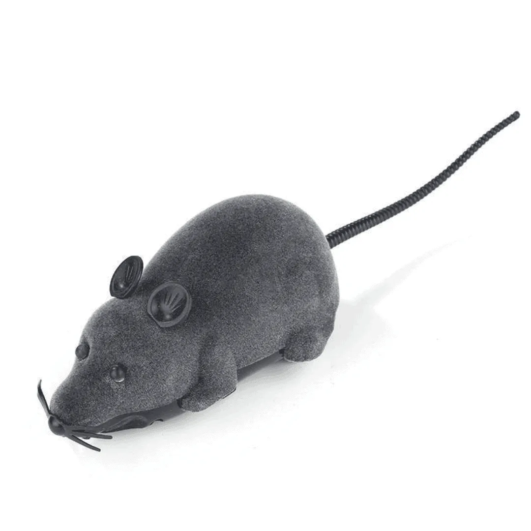 Riri the Rat Remote Control Cat Toy