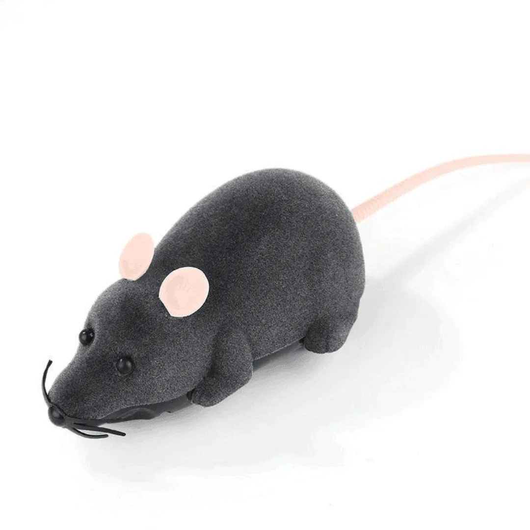 Riri the Rat Remote Control Cat Toy