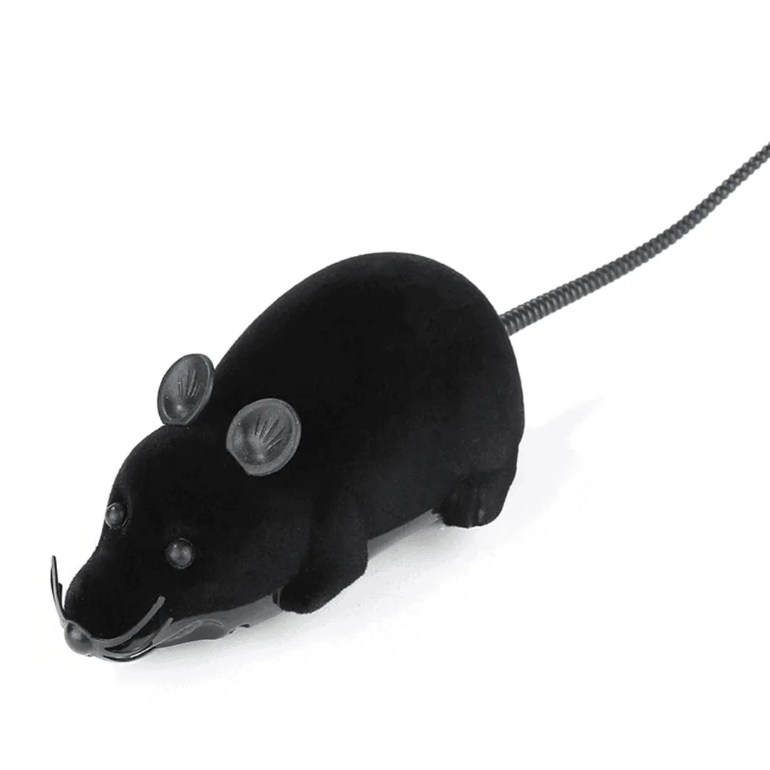 Riri the Rat Remote Control Cat Toy