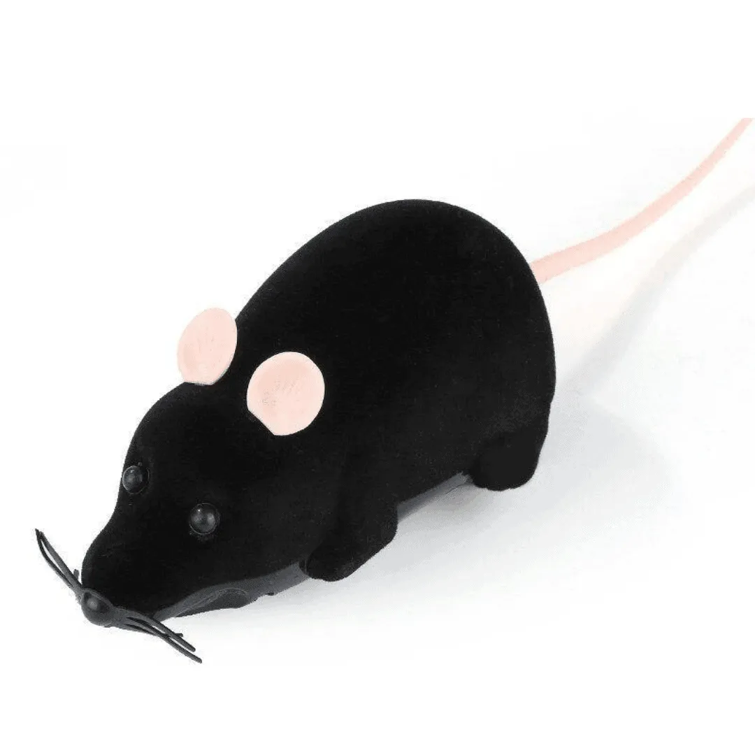 Riri the Rat Remote Control Cat Toy