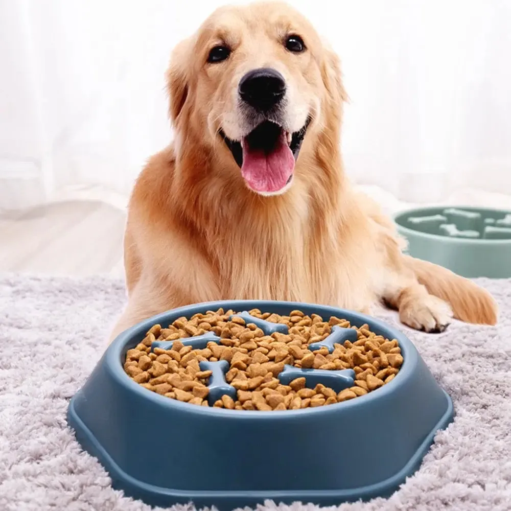 Slow Feeder Dog Bowls