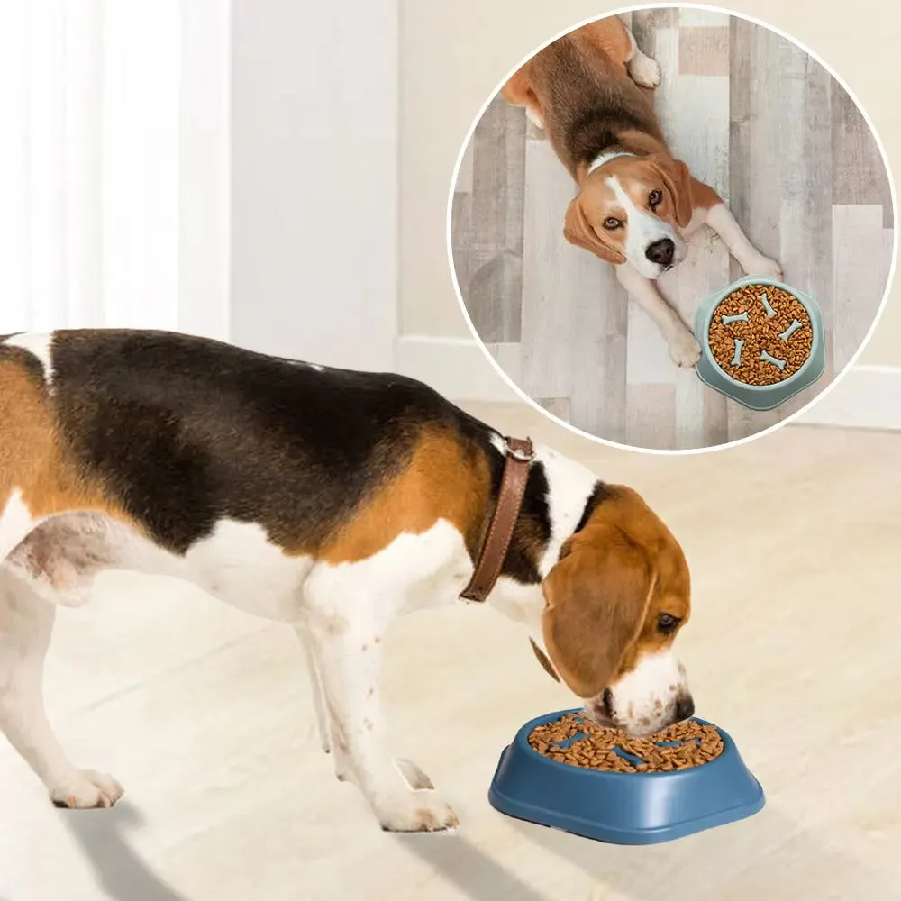 Slow Feeder Dog Bowls