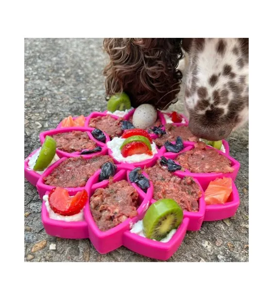 SodaPup Enrichment Feeding Tray For Dogs (Green Mandala)