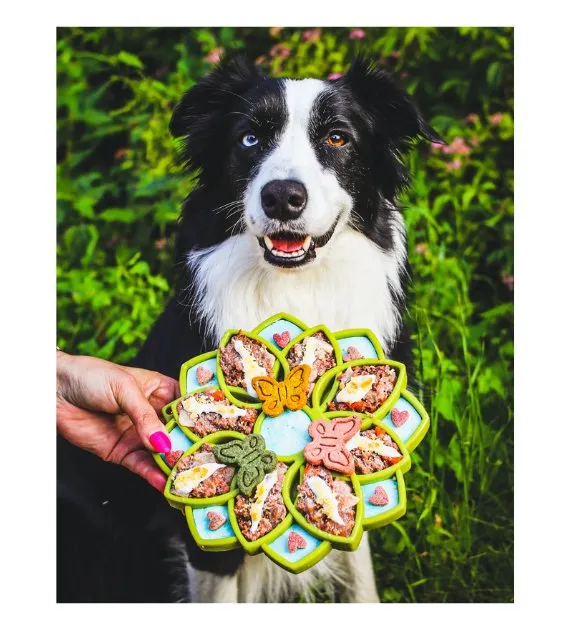 SodaPup Enrichment Feeding Tray For Dogs (Green Mandala)