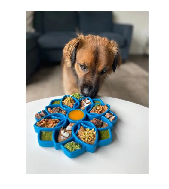 SodaPup Enrichment Feeding Tray For Dogs (Green Mandala)