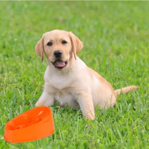 Versatile Anti-Slip Pet Slow Feeding Bowl AJ-2 ORANGE