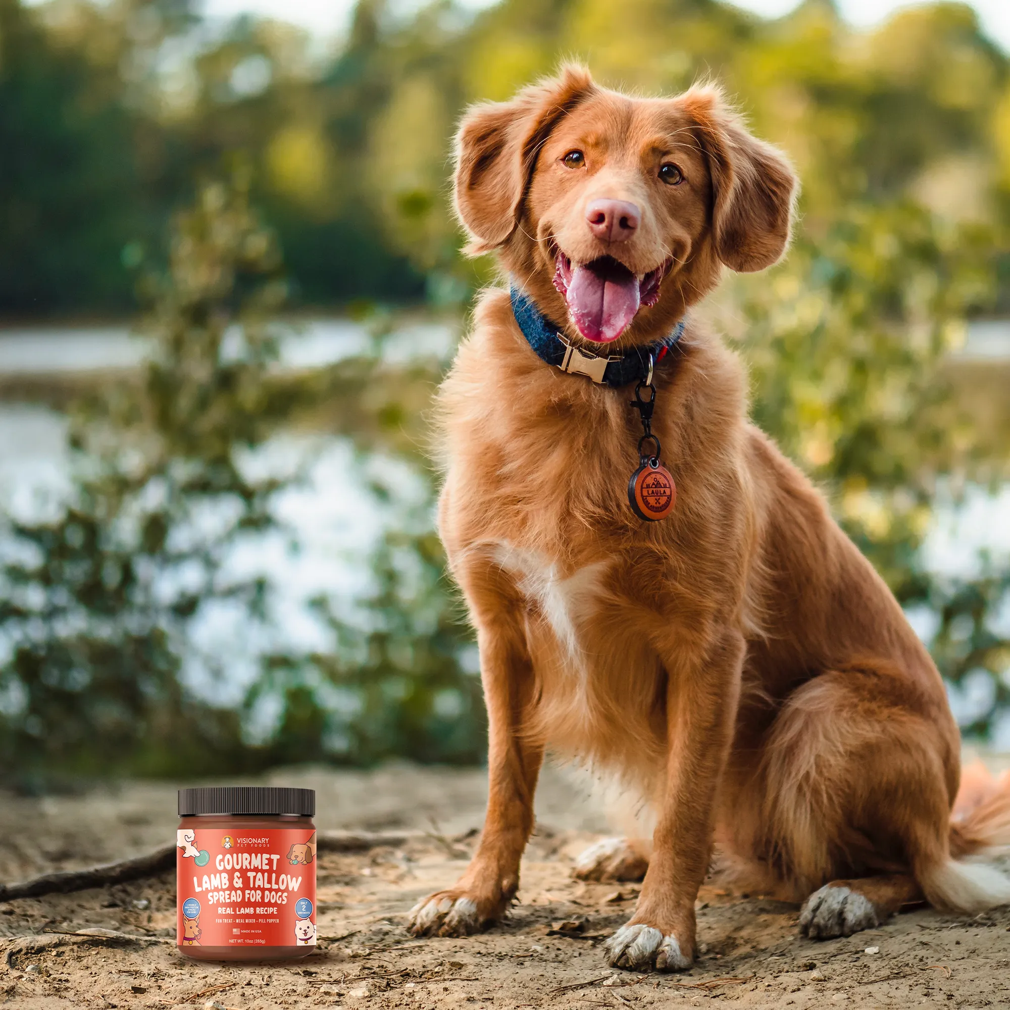 Visionary Pet Foods - Lamb Meat Spread for Dogs | Healthier Choice to Peanut Butter | 10oz Jar