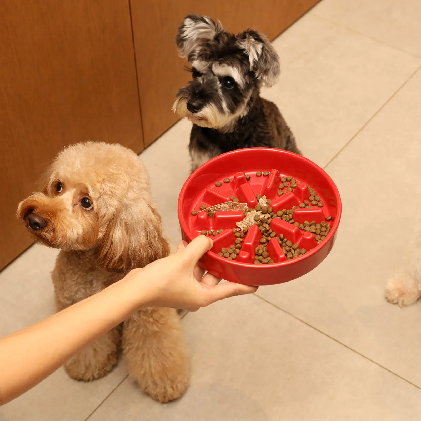 [Wave] Slow Feeder Dog Bowls - Pink / Beige / Orange